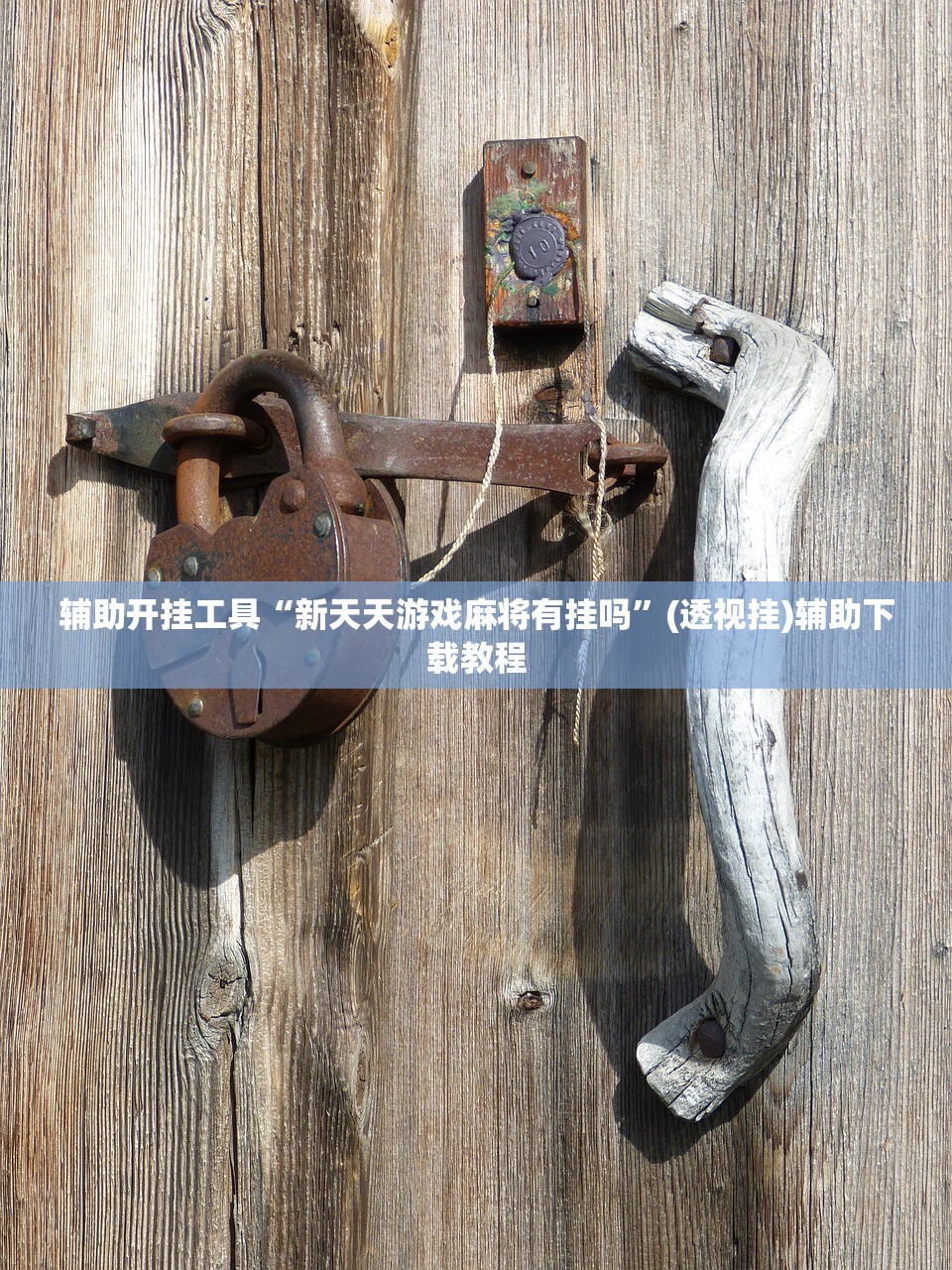 辅助开挂工具“新天天游戏麻将有挂吗”(透视挂)辅助下载教程