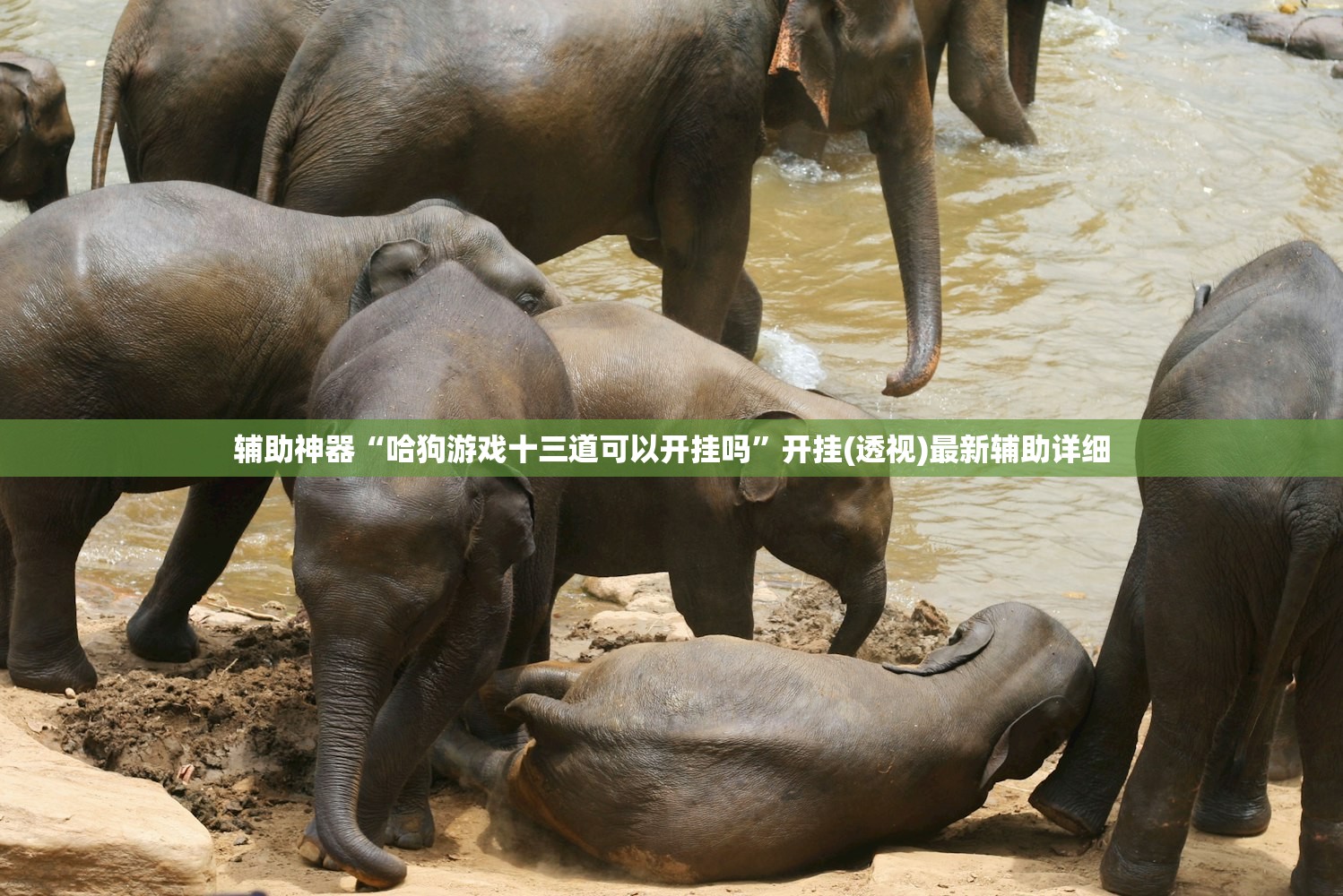 辅助神器“哈狗游戏十三道可以开挂吗	”开挂(透视)最新辅助详细