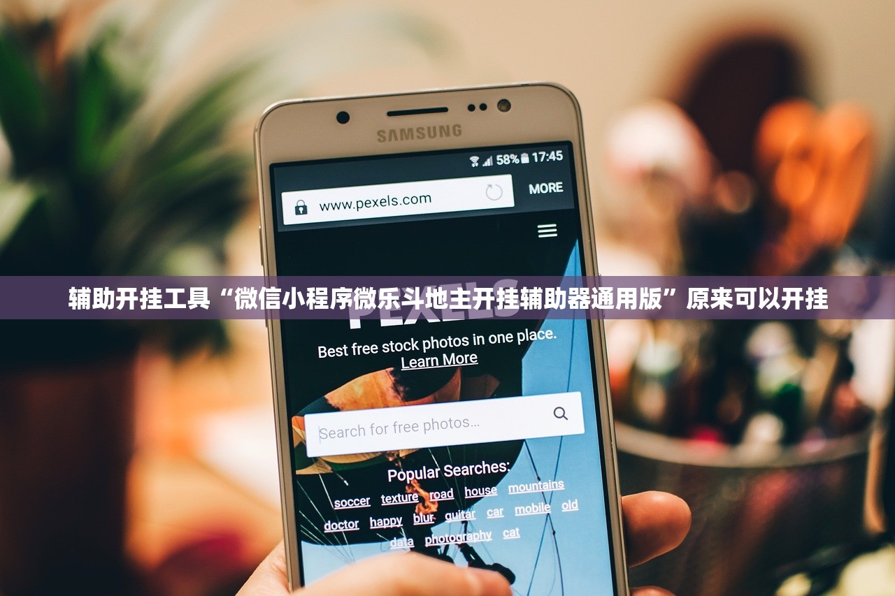 沪c是哪里的车牌（沪c车牌是哪里的车）