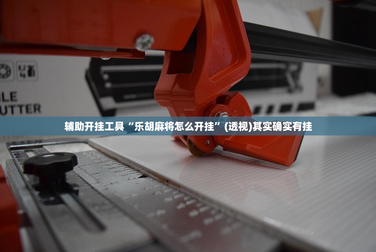 软件分享“琼戏互娱哪里有挂”详细分享装挂步骤