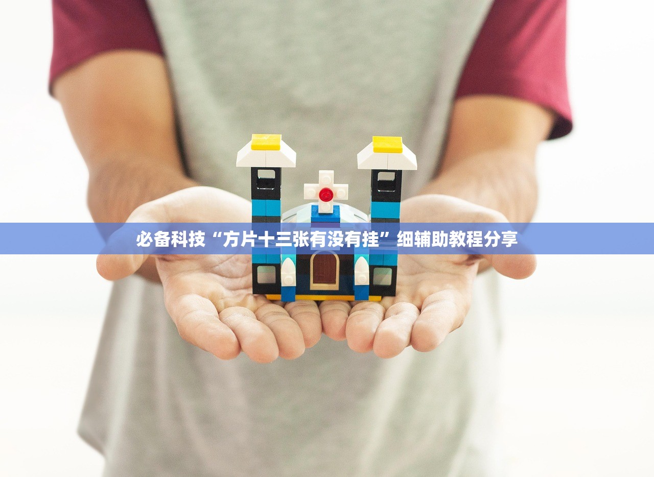 必备科技“方片十三张有没有挂	”细辅助教程分享