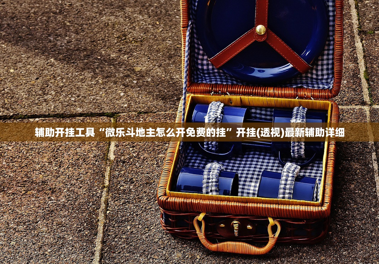 辅助开挂工具“微乐斗地主怎么开免费的挂”开挂(透视)最新辅助详细