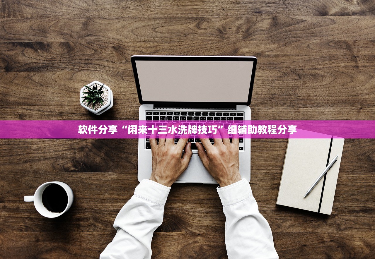 软件分享“闲来十三水洗牌技巧”细辅助教程分享
