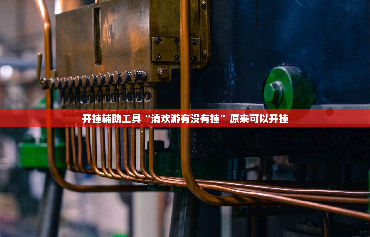开挂辅助工具“清欢游有没有挂”原来可以开挂