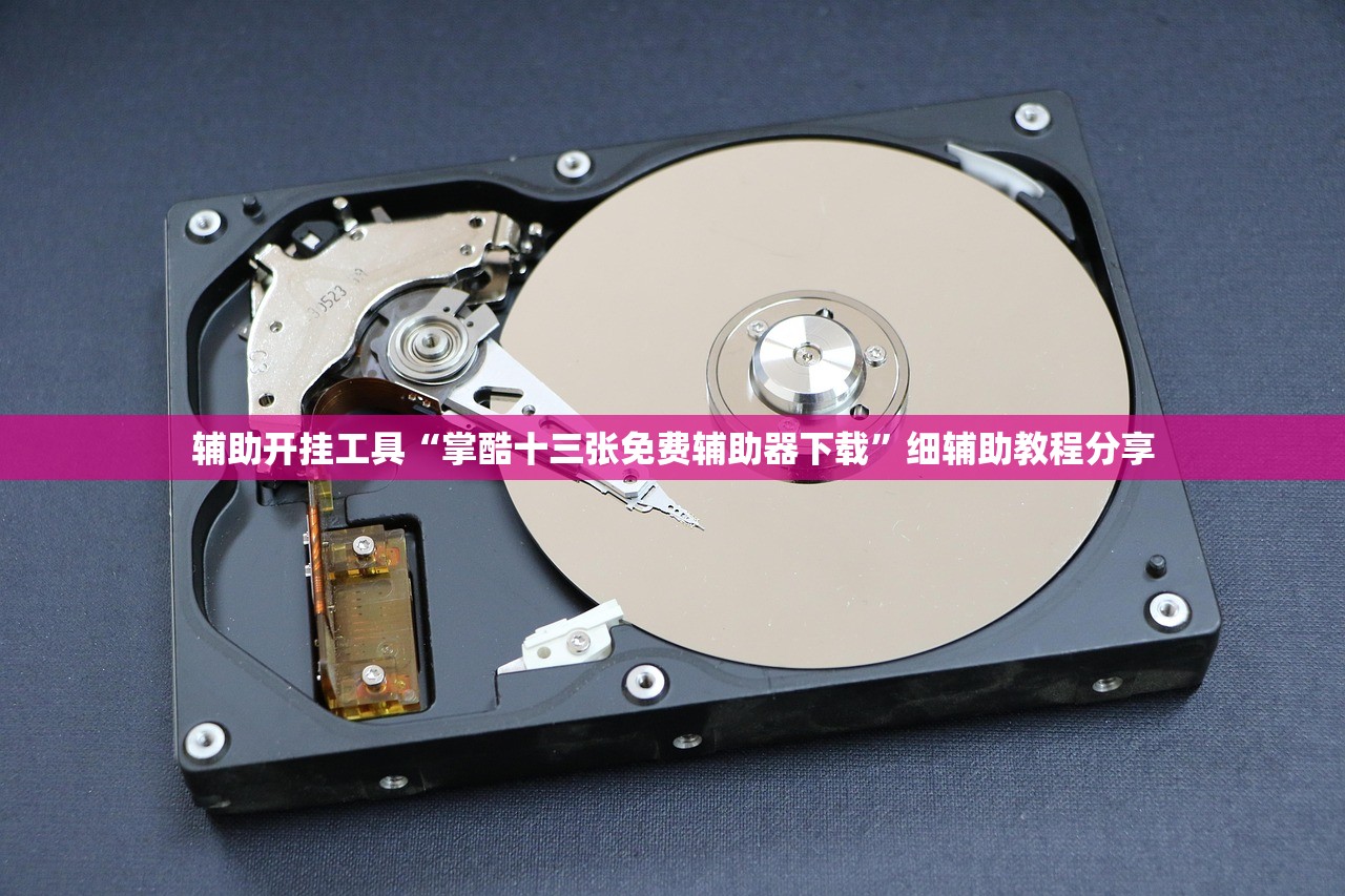 辅助开挂工具“掌酷十三张免费辅助器下载”细辅助教程分享
