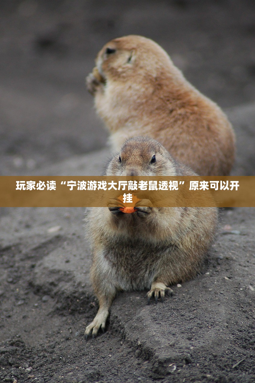 一键必胜“决胜麻将免费挂”开挂(透视)辅助教程