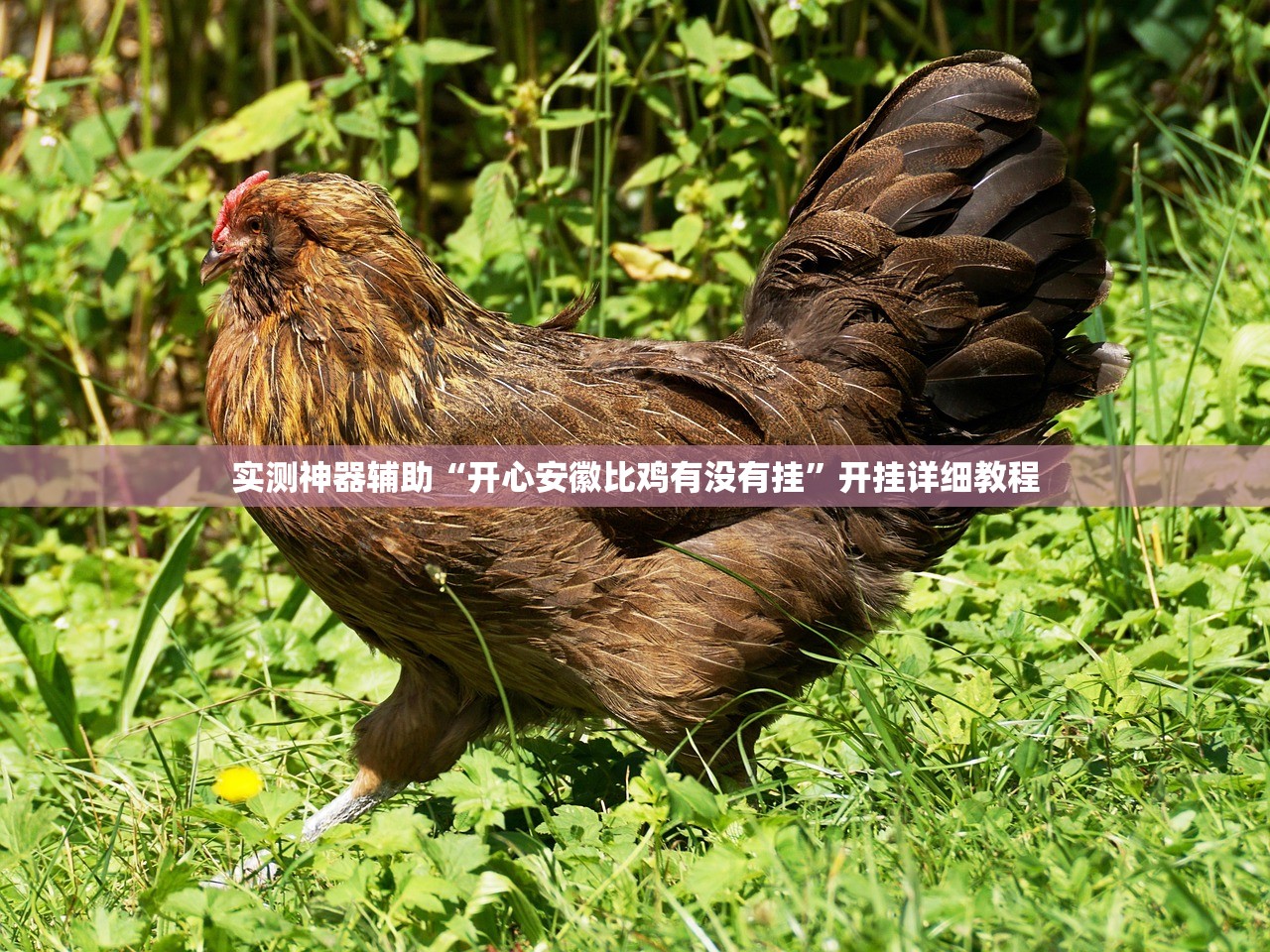 【重庆中风险地区/重庆市中风险还是低风险】