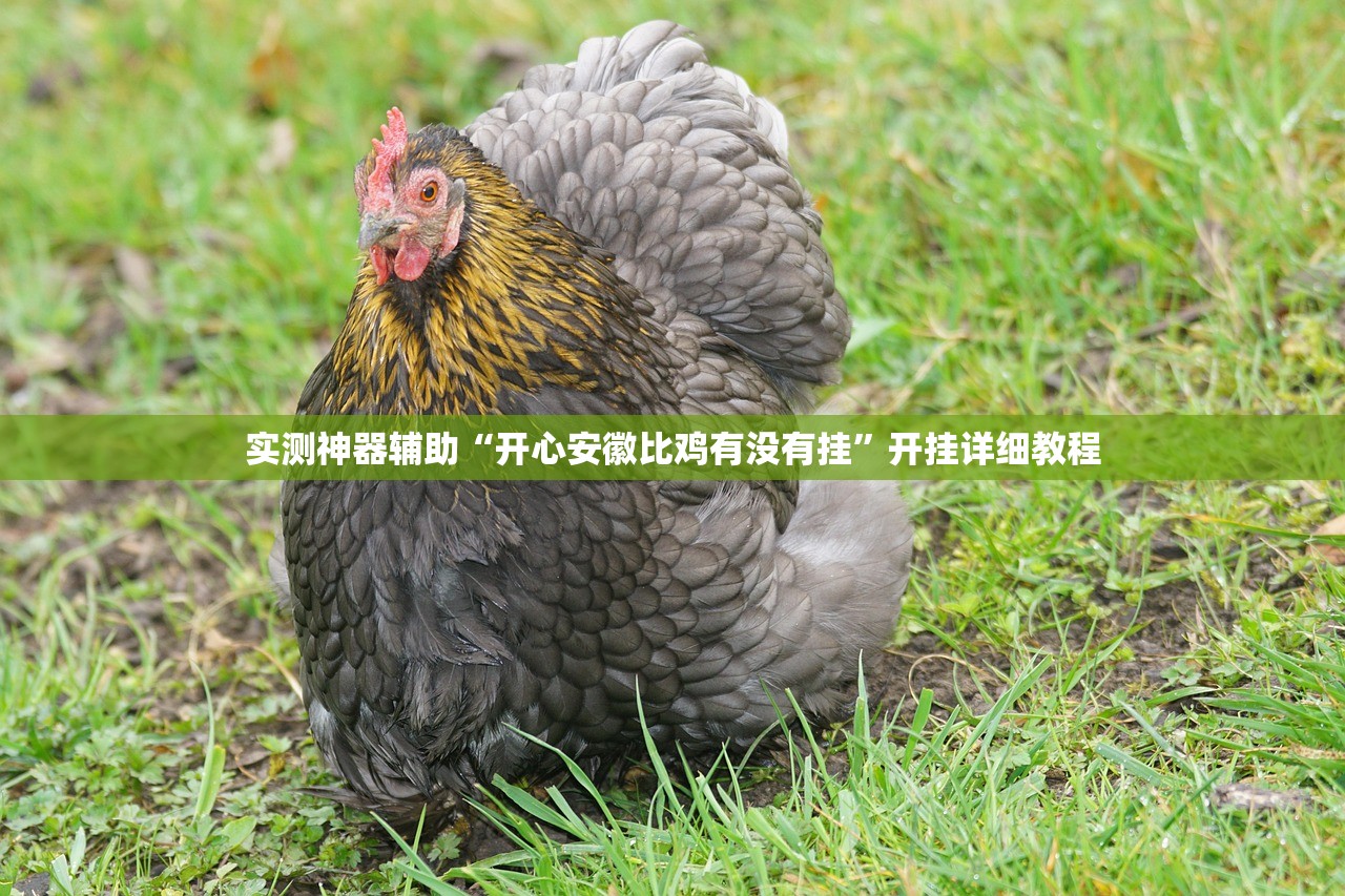 实测神器辅助“开心安徽比鸡有没有挂”开挂详细教程
