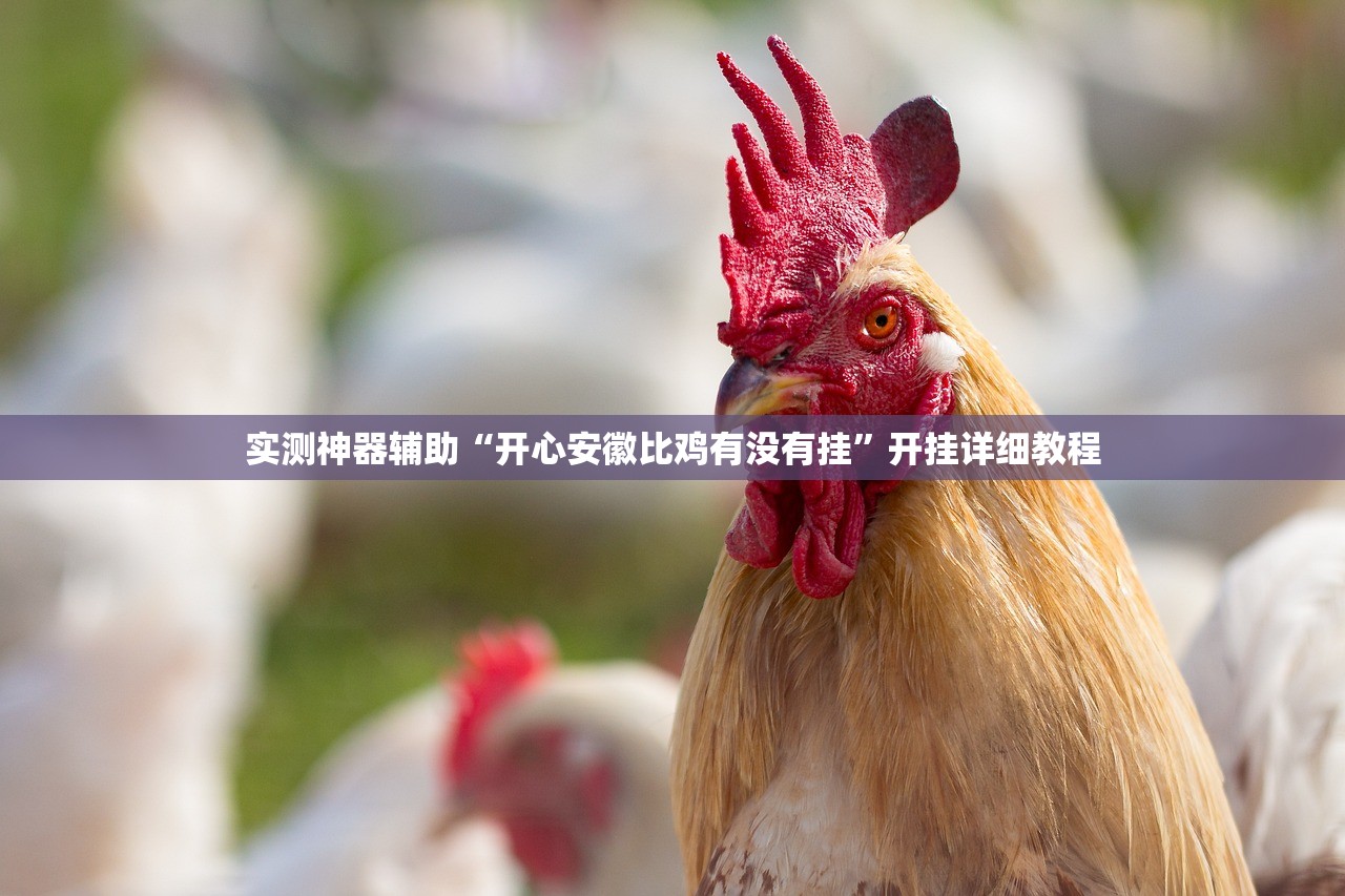 实测神器辅助“开心安徽比鸡有没有挂	”开挂详细教程