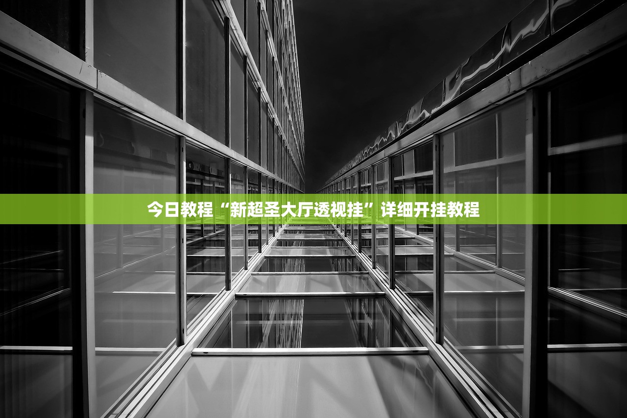 今日教程“新超圣大厅透视挂	”详细开挂教程