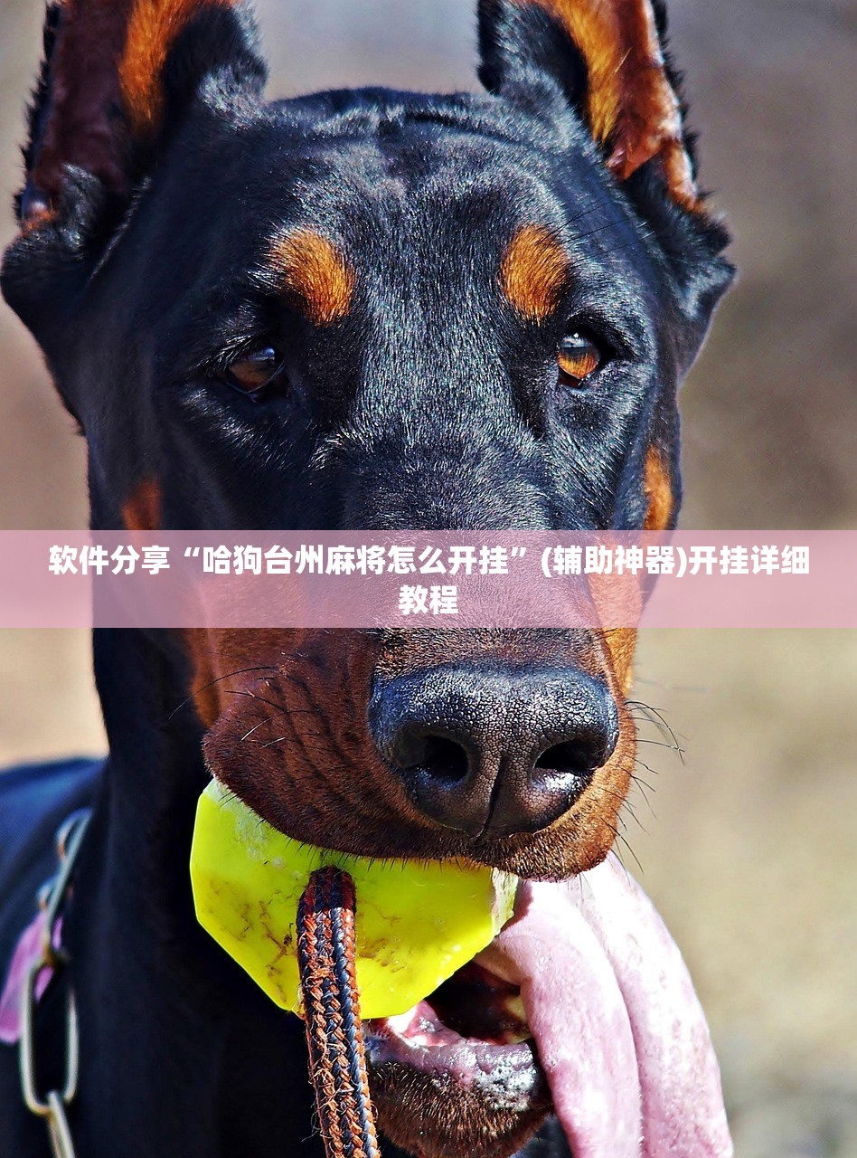 软件分享“哈狗台州麻将怎么开挂”(辅助神器)开挂详细教程