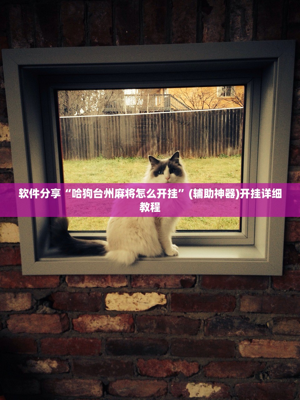 软件分享“哈狗台州麻将怎么开挂	”(辅助神器)开挂详细教程