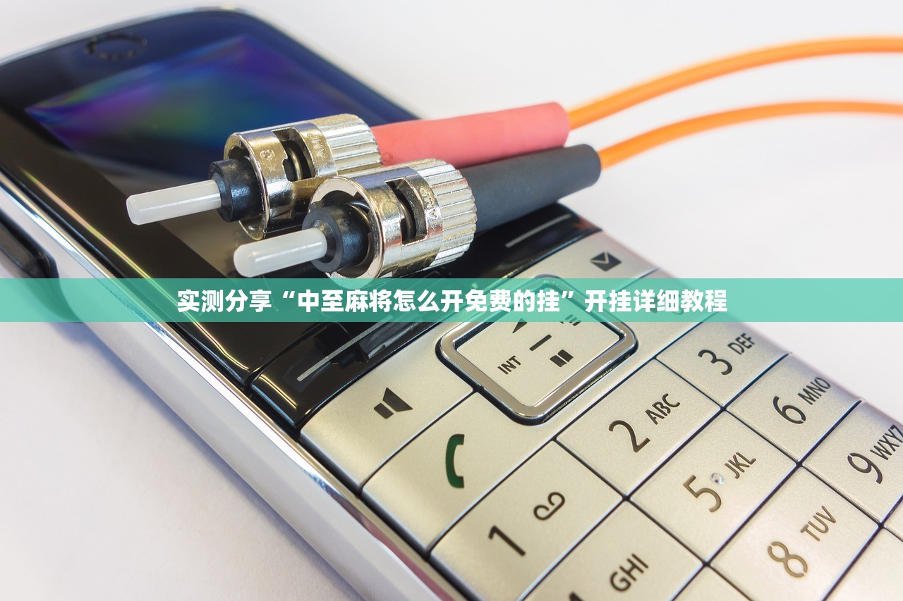 辅助神器“微乐湖南麻将开挂辅助器通用版”详细分享装挂步骤