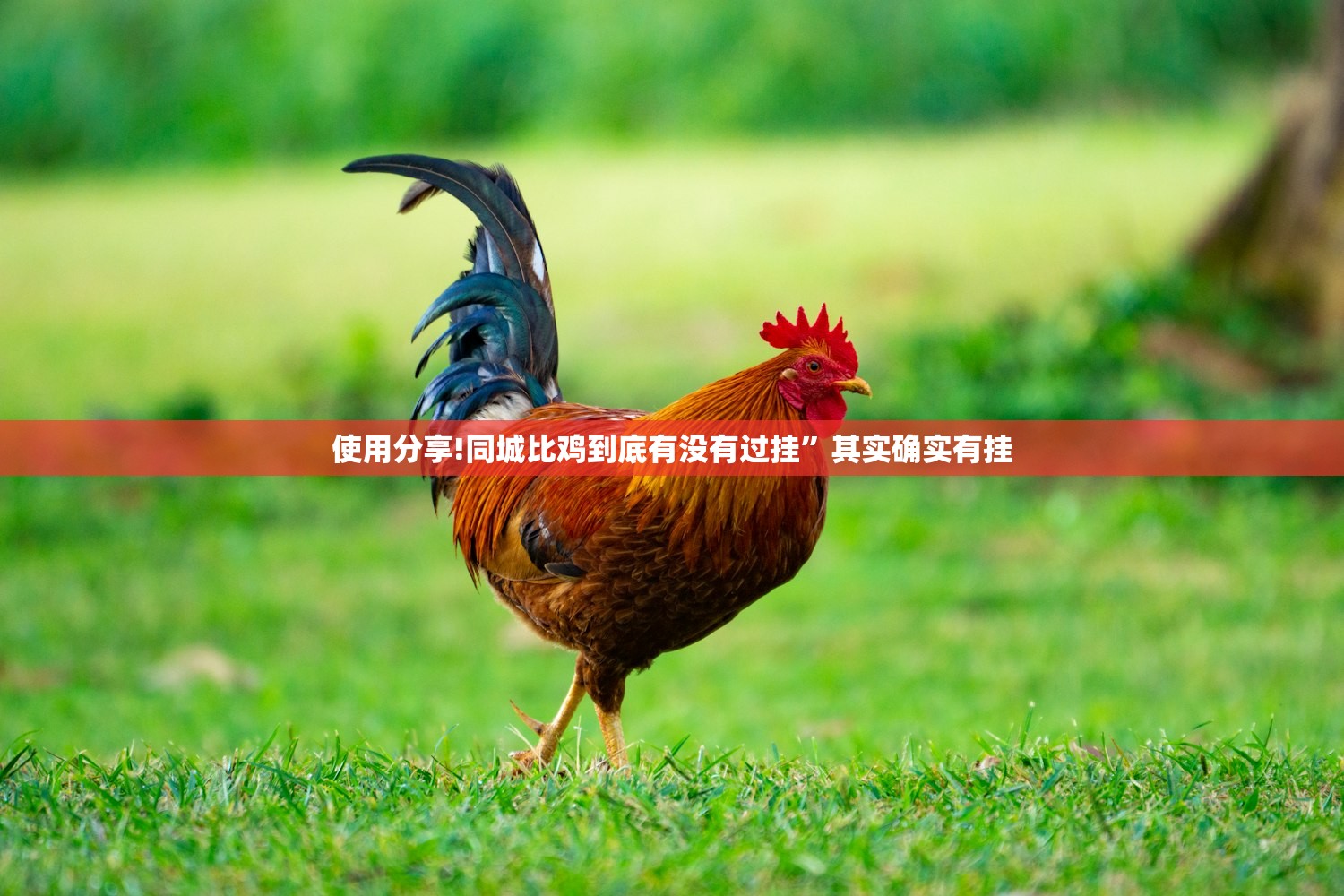 开挂辅助工具“微乐南昌麻将开挂演示”开挂(透视)最新辅助详细