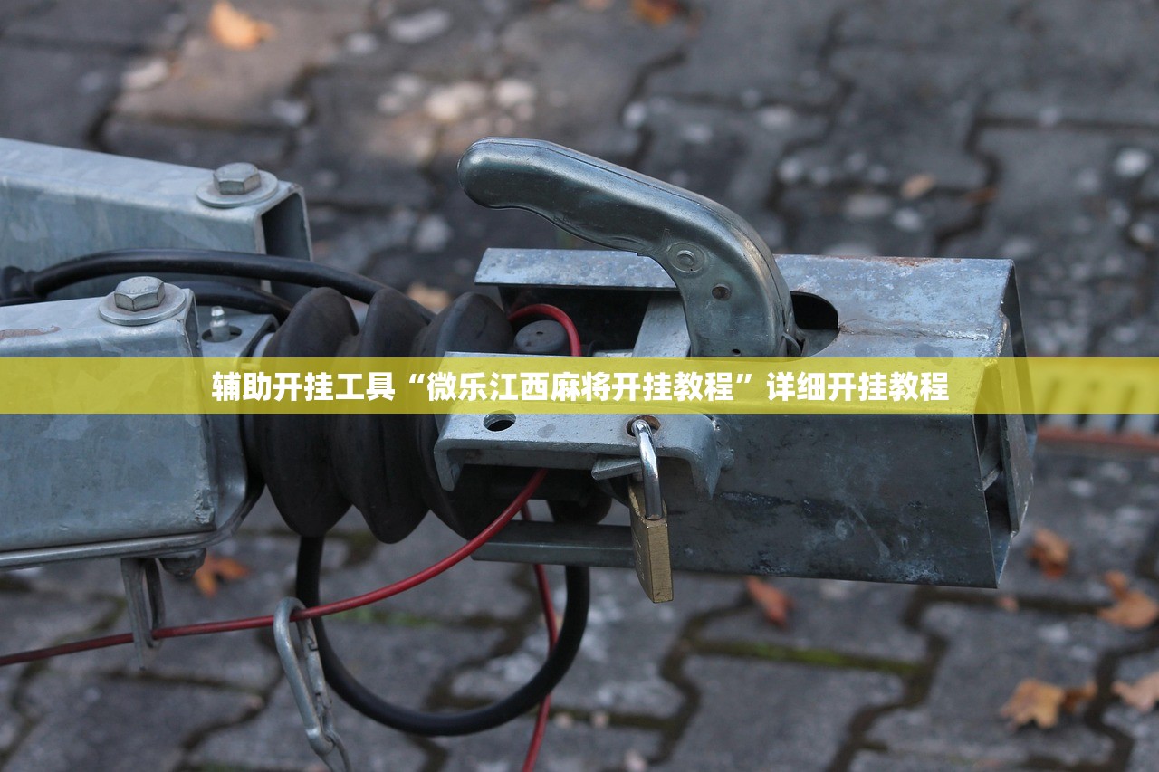 辅助开挂工具“微乐江西麻将开挂教程”详细开挂教程