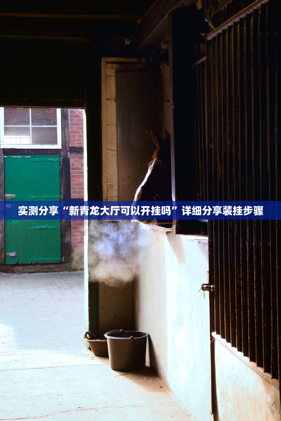 实测分享“新青龙大厅可以开挂吗	”详细分享装挂步骤