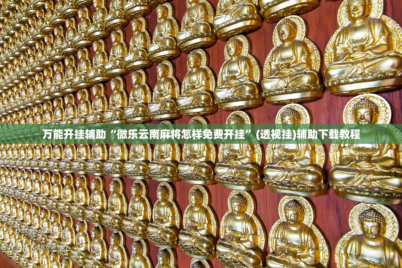万能开挂辅助“微乐云南麻将怎样免费开挂”(透视挂)辅助下载教程