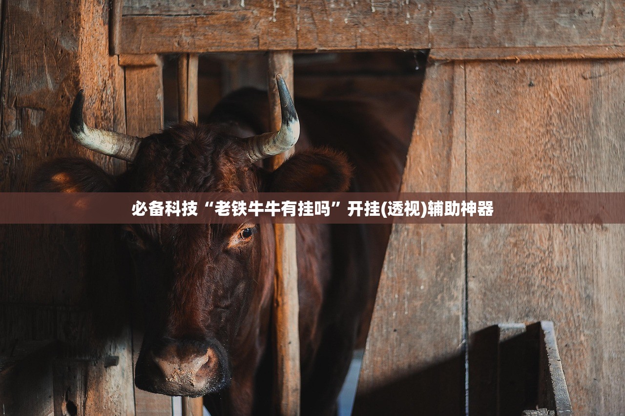 实测神器辅助“一起斗地主到底有没有挂”开挂(透视)最新辅助详细
