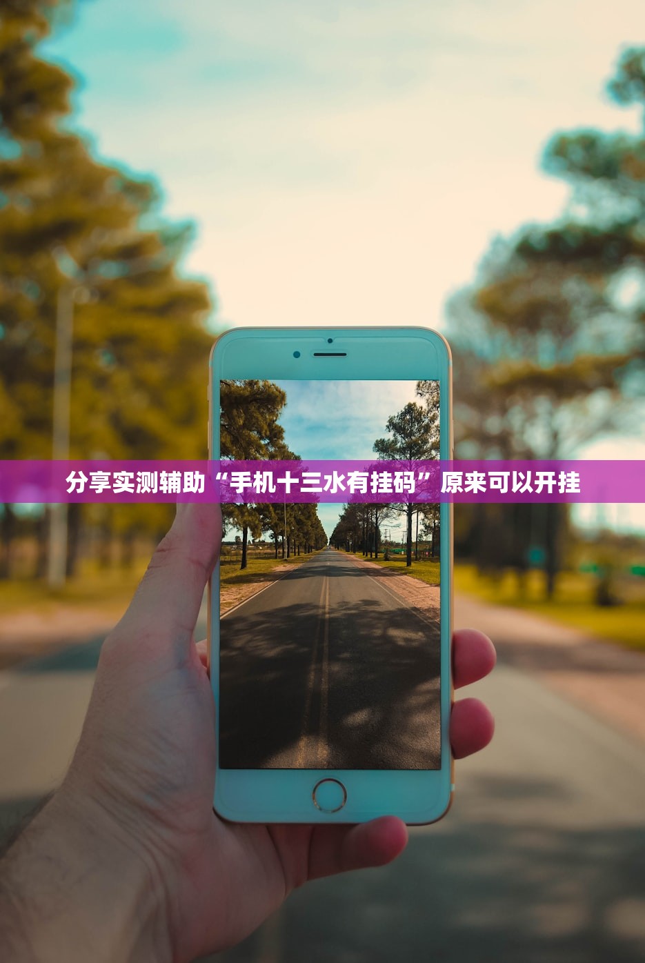 分享实测辅助“手机十三水有挂码”原来可以开挂