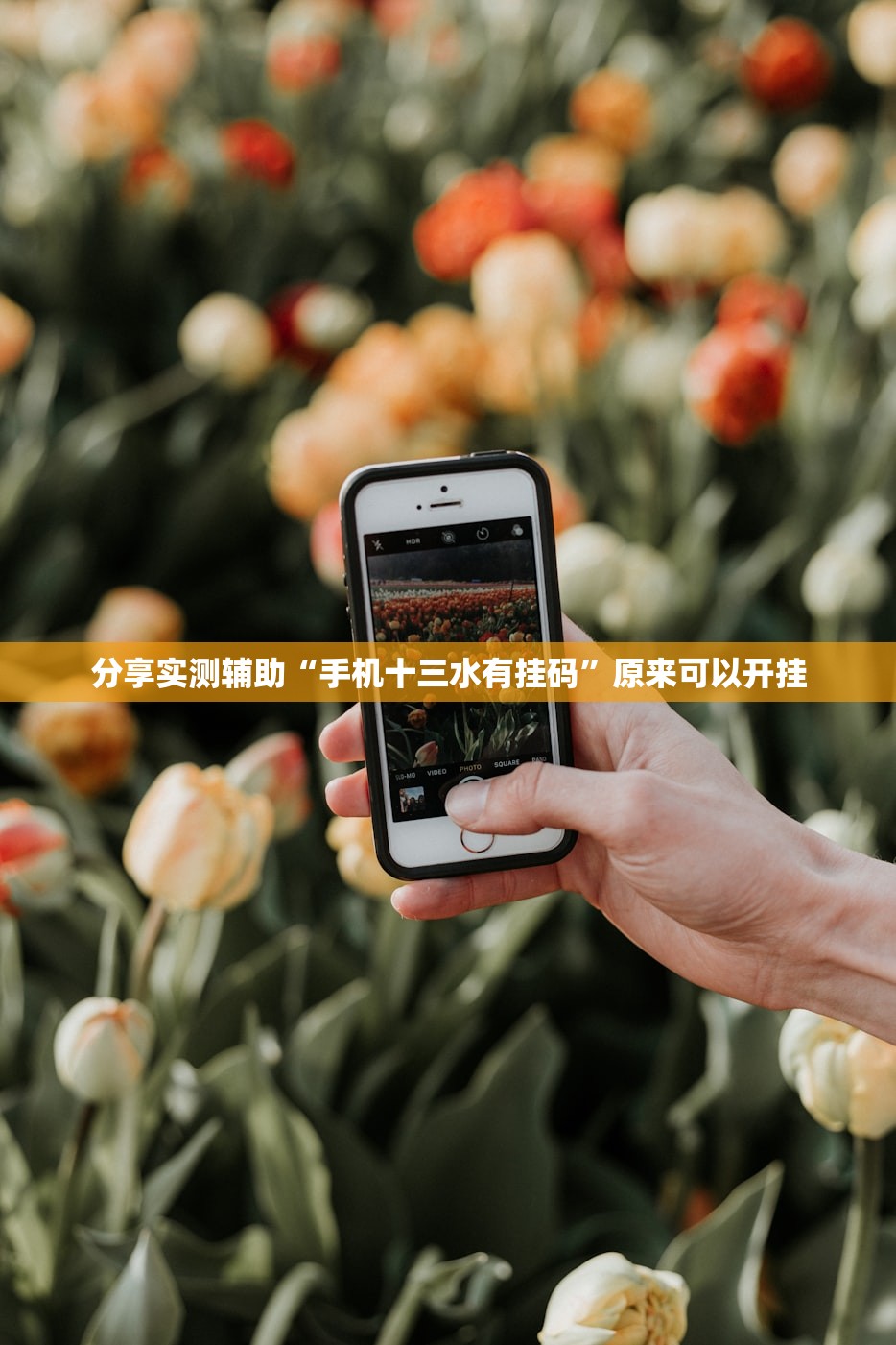 使用分享!微乐上海麻将万能免费下载安装”科技辅助神器手机版