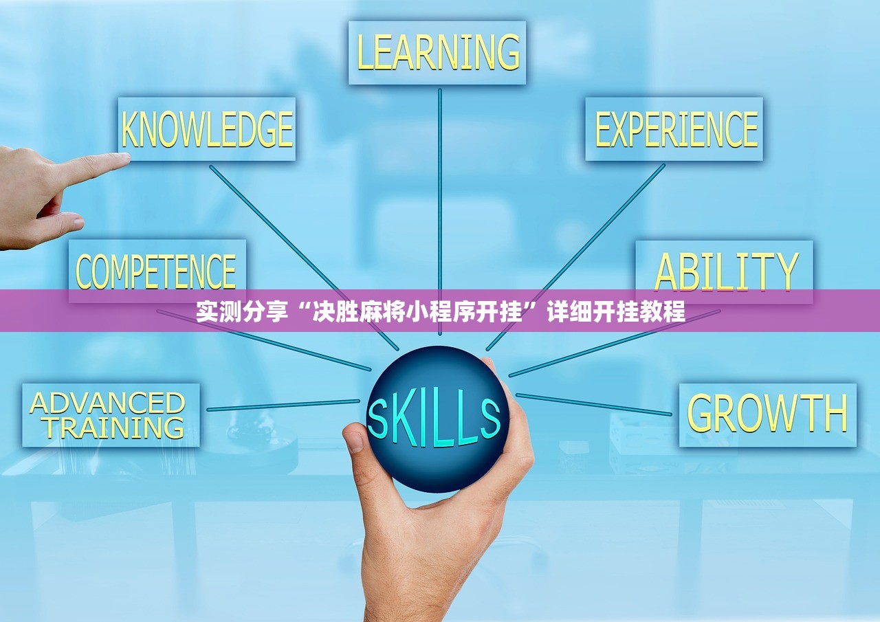 九座车型/九座车型及费用
