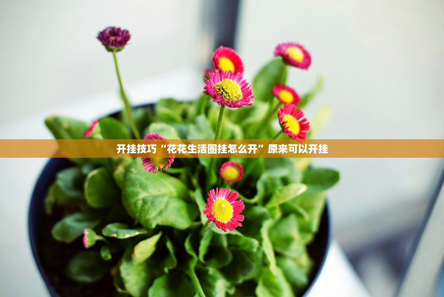 教程分享“哈哈捉鸡麻将到底有没有挂”开挂辅助脚本+详细开挂安装教程
